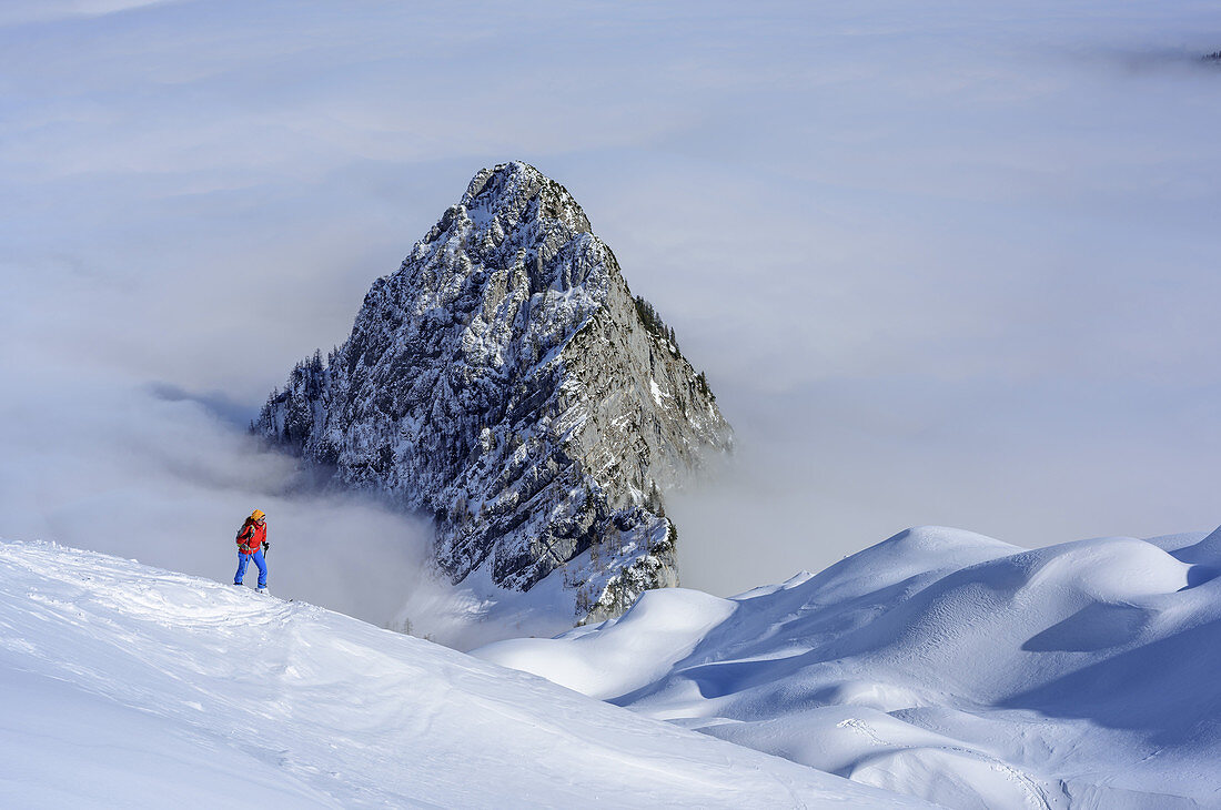 Frau auf Skitour steigt zur Hochalm auf, Stanglahnerkopf und Nebelmeer im Hintergrund, Hochalm, Hochkalter, Nationalpark Berchtesgaden, Berchtesgadener Alpen, Berchtesgaden, Oberbayern, Bayern, Deutschland
