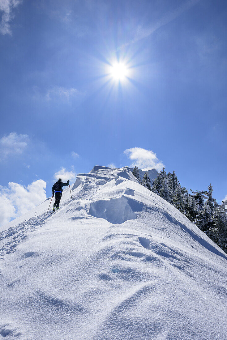 Person back-country skiing ascending over cornices to Hochkasern, Hochkasern, Salzburger Schieferberge range, Dientner Schieferberge range, Salzburg, Austria