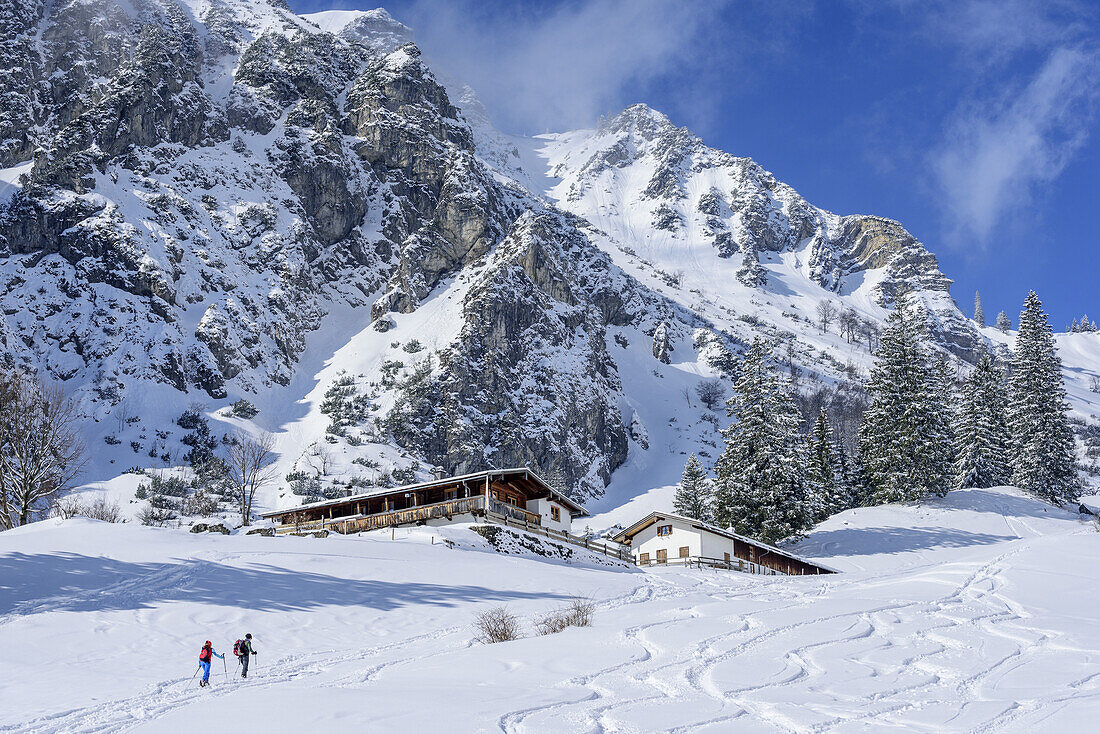 Two persons back-country skiing passing alpine hut and ascending to Breitenstein, Breitenstein, Chiemgau Alps, Chiemgau, Upper Bavaria, Bavaria, Germany