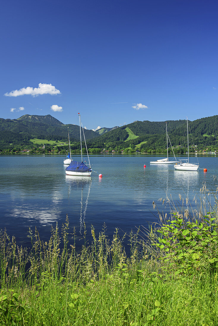 Sailing boats in lake Tegernsee, lake Tegernsee, Bavarian Alps, Upper Bavaria, Bavaria, Germany
