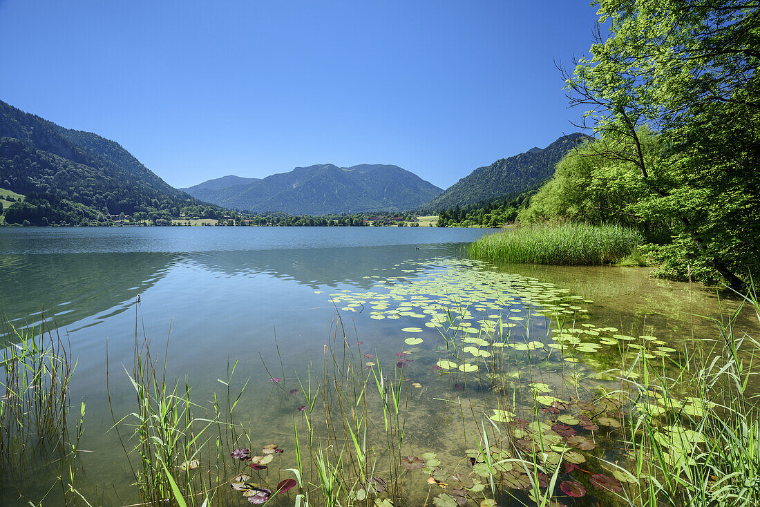 Schliersee mit Mangfallgebirge im Hintergrund, Schliersee, Bayerische Alpen, Oberbayern, Bayern, Deutschland