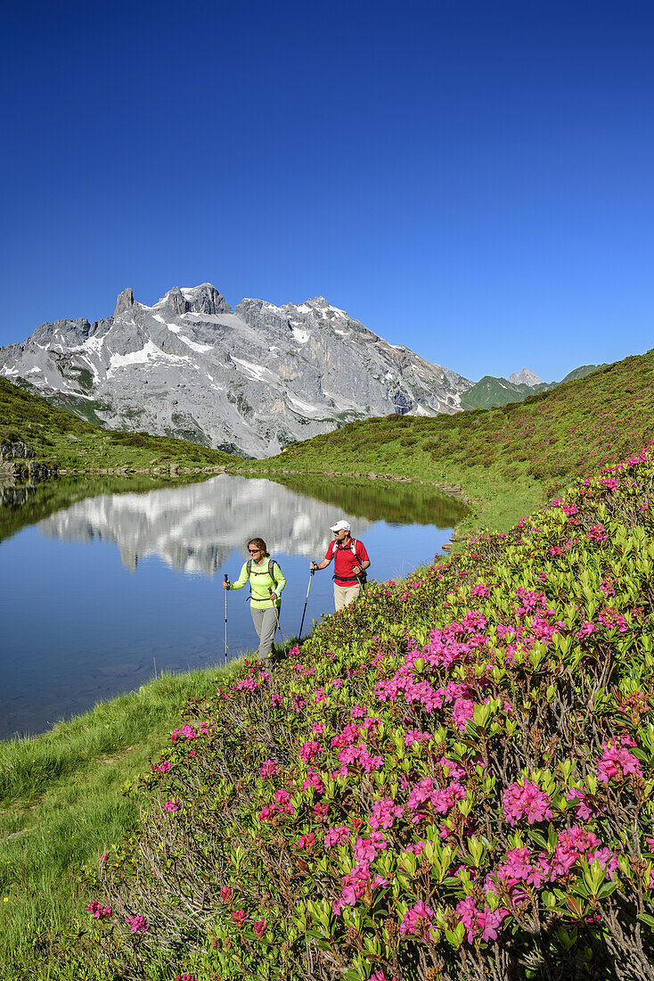 Woman and man hiking at mountain lake, alpine roses in blossom in foreground, Drei Tuerme and Drusenfluh in background, Raetikon, Vorarlberg, Austria