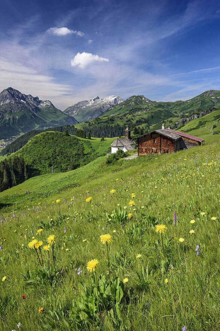 Blumenwiese mit Almhütten und Kapelle, Lechtaler Alpen, Lech und Lechquellengebirge im Hintergrund, Bürstegg, Lechquellengebirge, Vorarlberg, Österreich