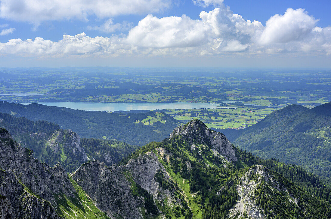 View to lake Forggensee from Klammspitze, Klammspitze, Ammergau Alps, East Allgaeu, Allgaeu, Swabia, Bavaria, Germany