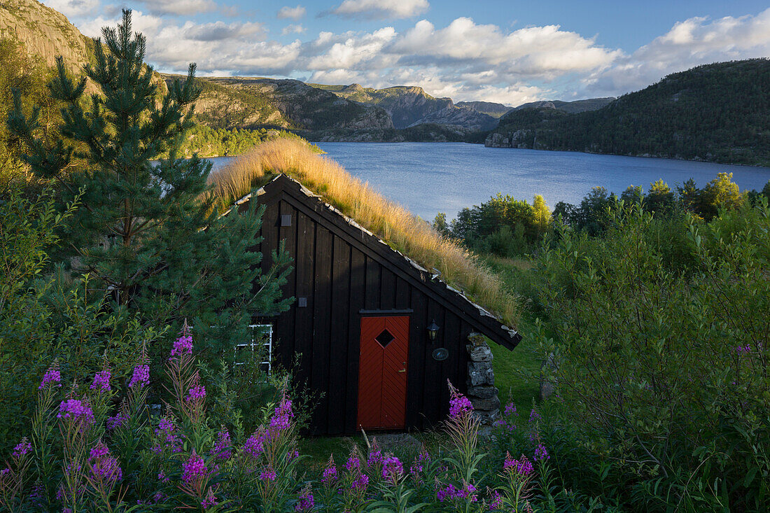 Hütte am Refsvatenet, Lysfjord, Rogaland, Norwegen