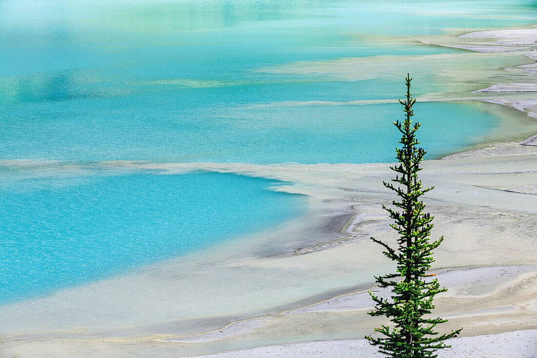 'Glacial silt at the delta on Lake Louise formed by the turquoise glacial meltwater, Banff National Park; Alberta, Canada'