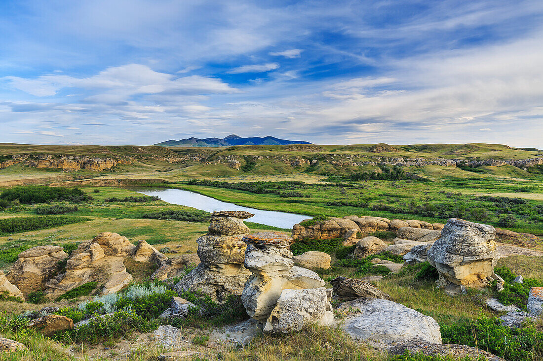 'Hoodoos in the Badlands overlooking the Milk River, Writing-on-Stone Provincial Park; Alberta, Canada'