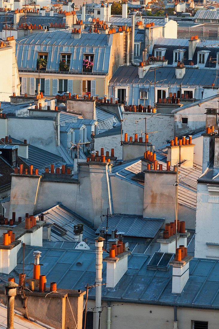 'Rooftops of residential buildings; Paris, France'