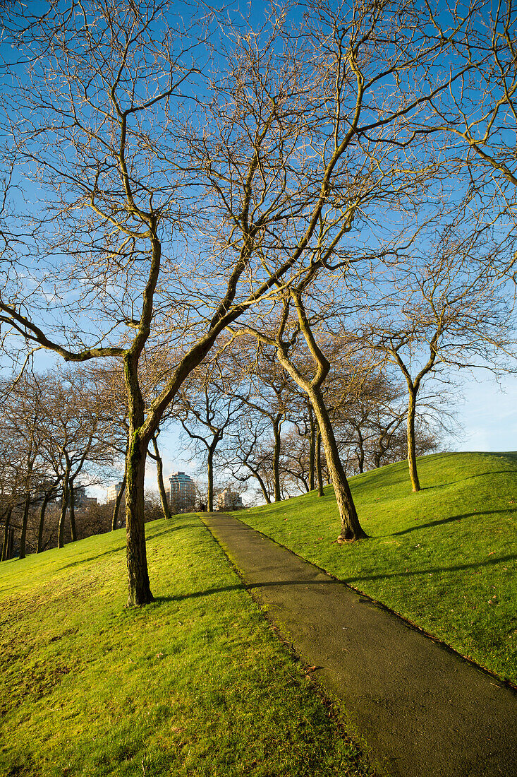 'Path through the park on Granville Island looking out over False Creek; Vancouver, British Columbia, Canada'