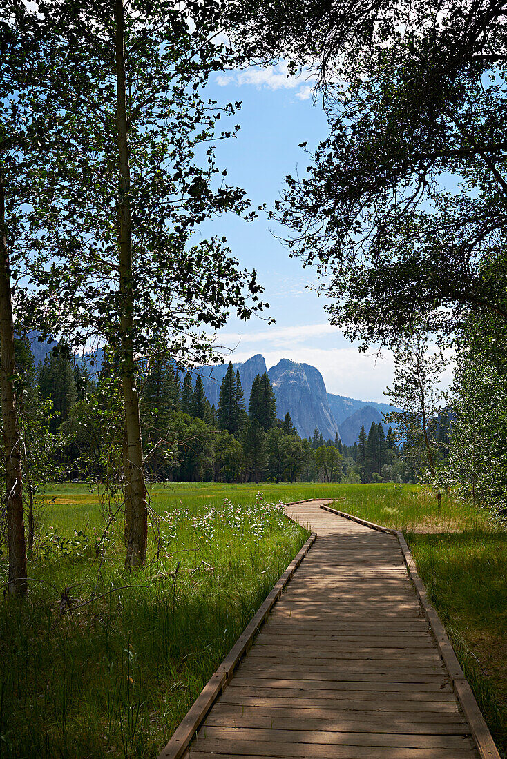 'Boardwalk, Yosemite Valley, Yosemite National Park; California, United States of America'