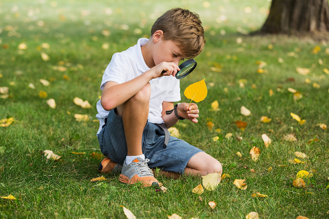 'A young boy using a magnifying glass in a park; Edmonton, Alberta, Canada'
