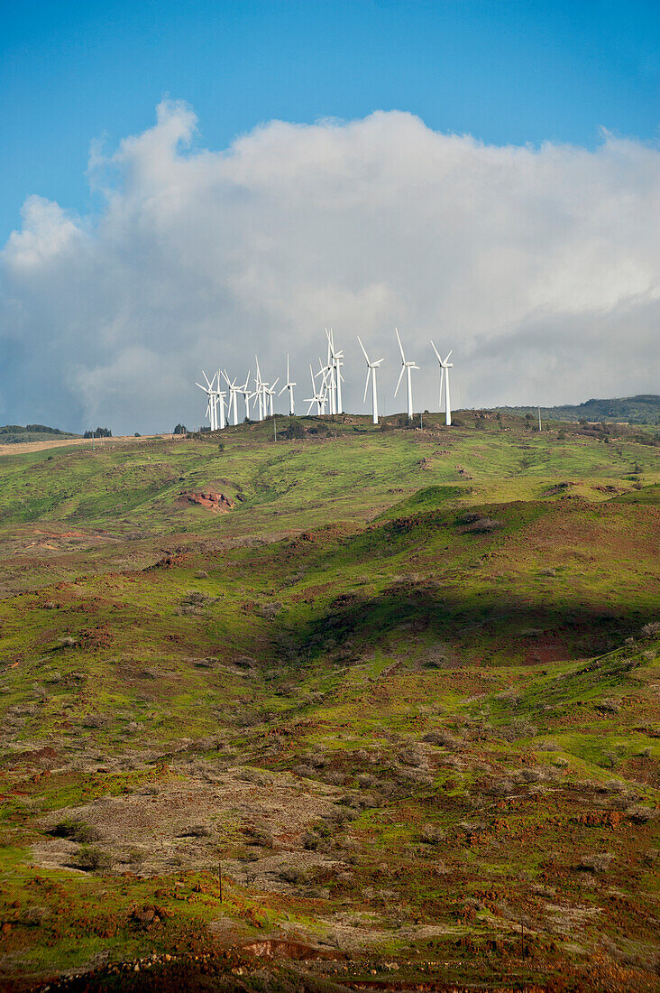 'Windmills spin on a hillside above the coast; Maui, Hawaii, United States of America'