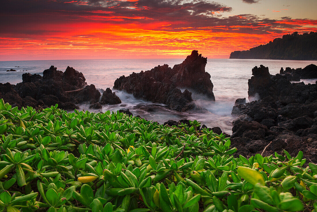 'Sunrise over the ocean and coastline; Laupahoehoe, Island of Hawaii, Hawaii, United States of America'