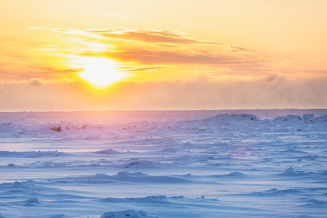 Snow drifts on sea ice on the Arctic Ocean at sunset, North Slope, Barrow, Arctic Alaska, Winter