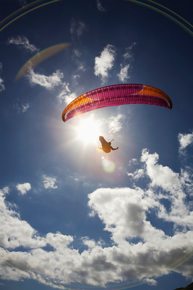 'Paraglider at Makapuu Point; Oahu, Hawaii, United States of America'