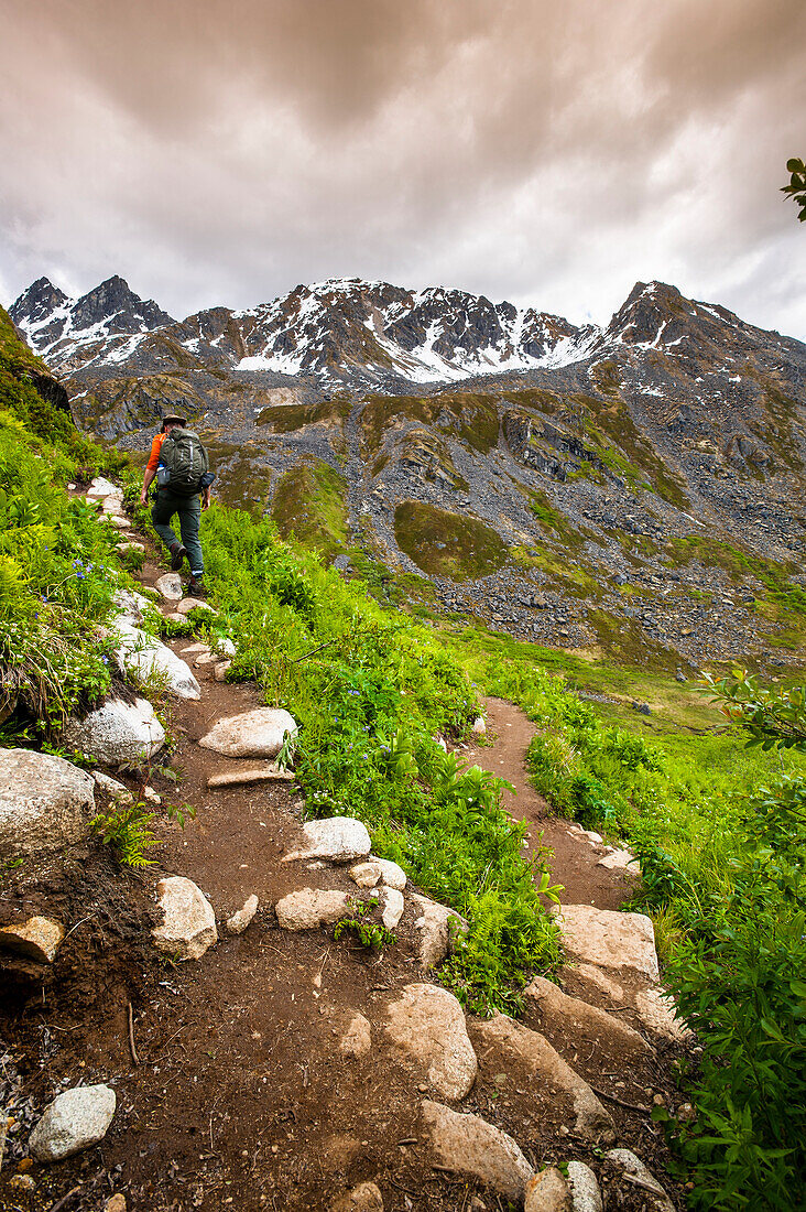 Man hikes the Reed Lakes Trail in Archangel Valley, Talkeetna Mountains, Southcentral Alaska, summer