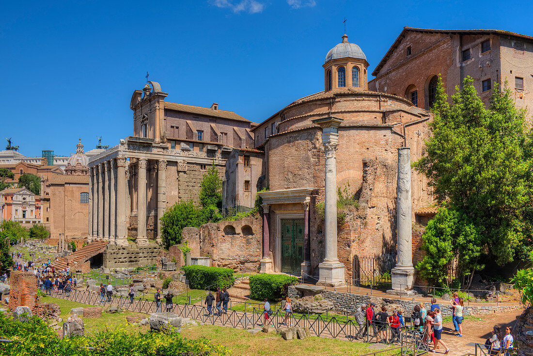 Tempel des Antoninus und der Faustina, Tempel des Romulus, Forum Romanum, Rom, Latium, Italien