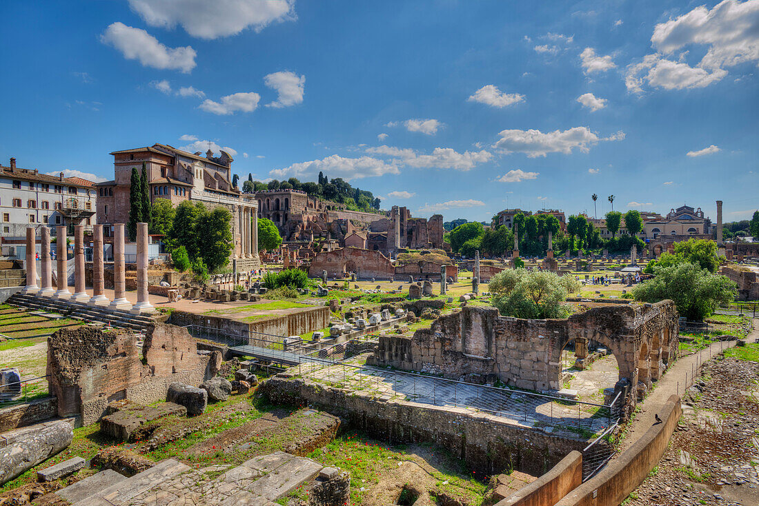 Tempel des Antonius und der Faustina, Palatin, Forum Romanum, Rom, Latium, Italien