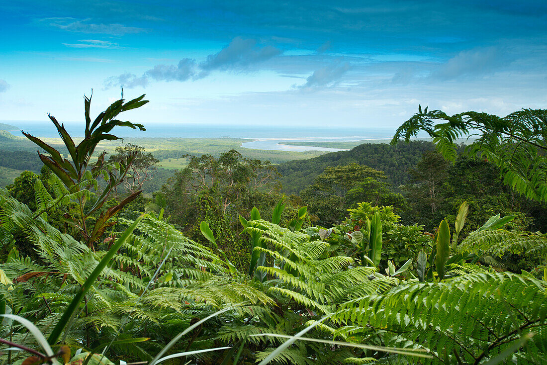 Blick zur Mündung des Daintree Rivers vom Alexander Range Lookout, Queensland, Australien