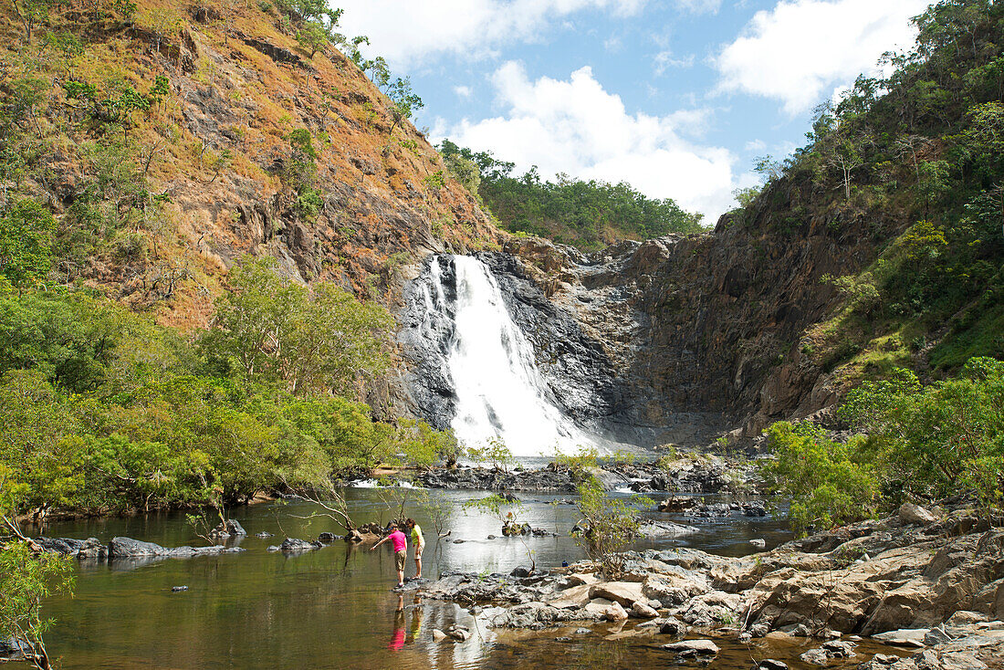 The Bloomfield Falls near Bloomfield, Bloomfield , Queensland