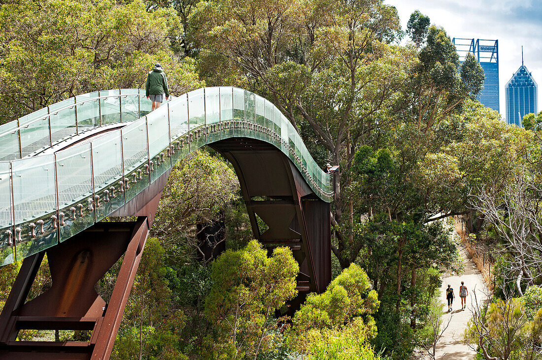 The Ferderation Walkway in Kings Park