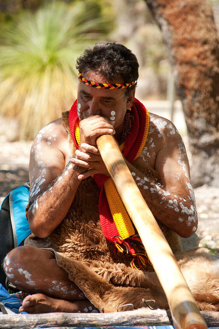 An member of the Wadumbah Indigenous Dance plays the digeridoo