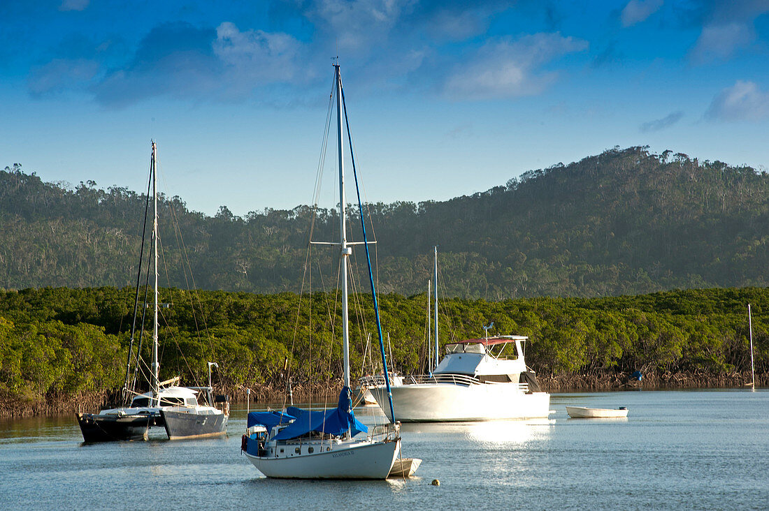 Moored boats in the Endeavour River, Cooktown, Queensland