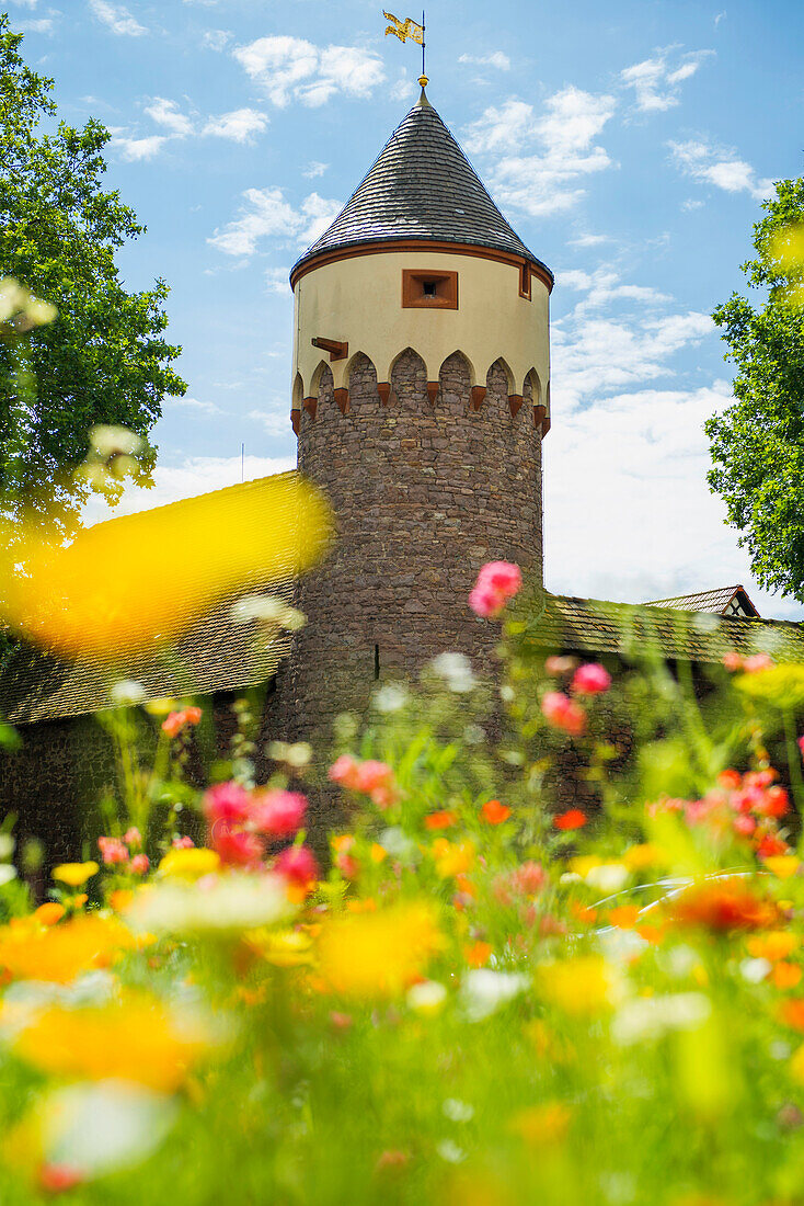 Lauerturm, Ettlingen, Black Forest, Baden-Wuerttemberg, Germany