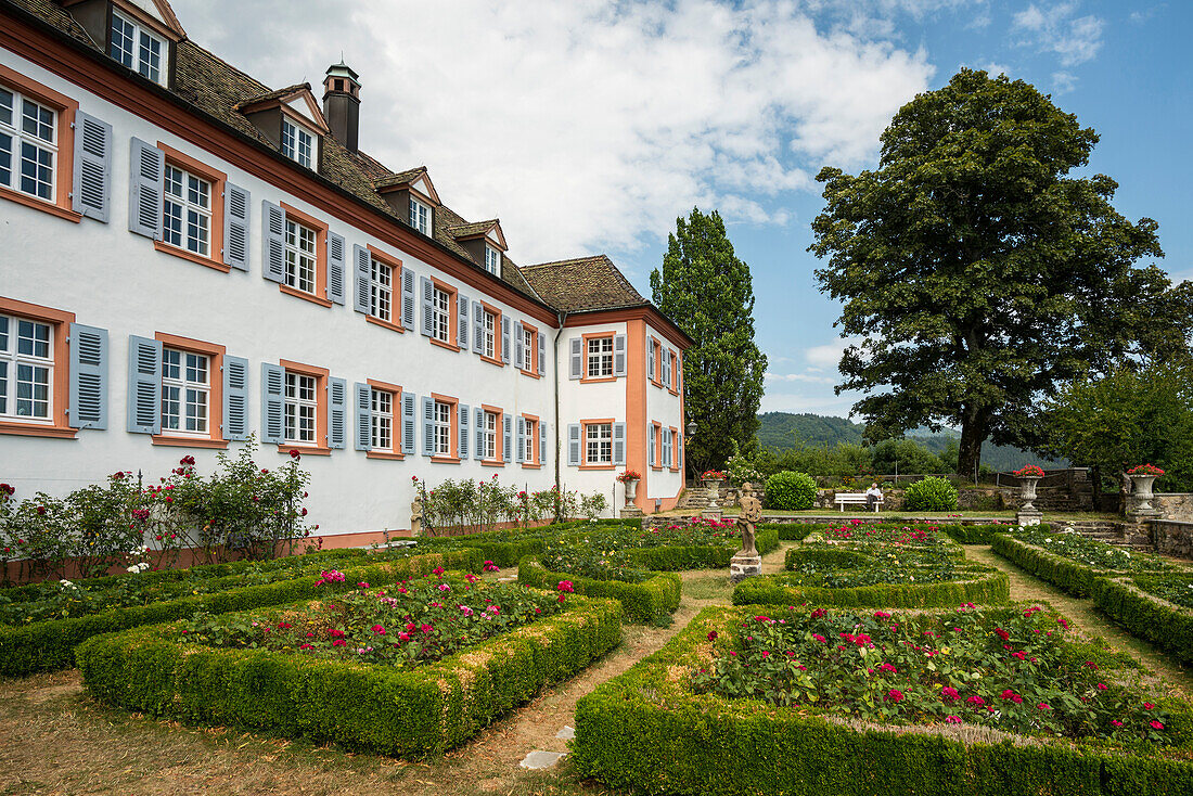 Schloss Buergeln Castle and rose garden, Obereggenen, Schliengen, Baden-Wuerttemberg, Germany