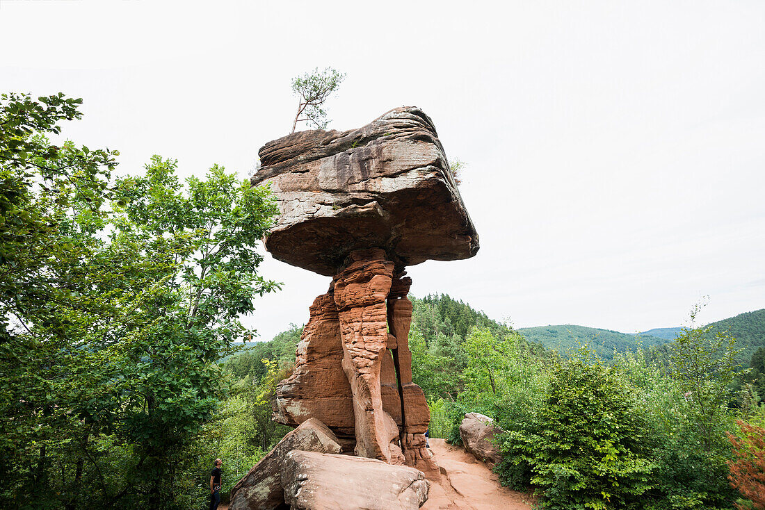 Der Teufelstisch, bei Hinterweidenthal, Pfälzer Wald, Rheinland-Pfalz, Deutschland