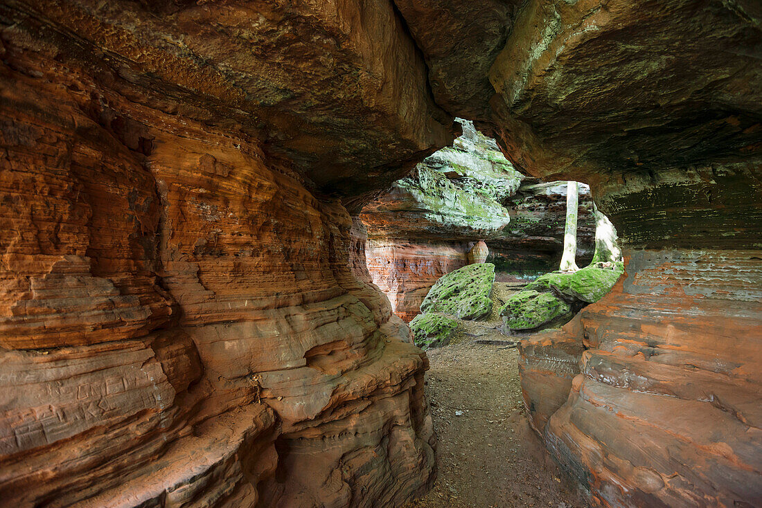 Rock formations, Altschlossfelsen, natural monument, Palatinate Forest, Eppenbrunn, Rhineland-Palatinate, Germany