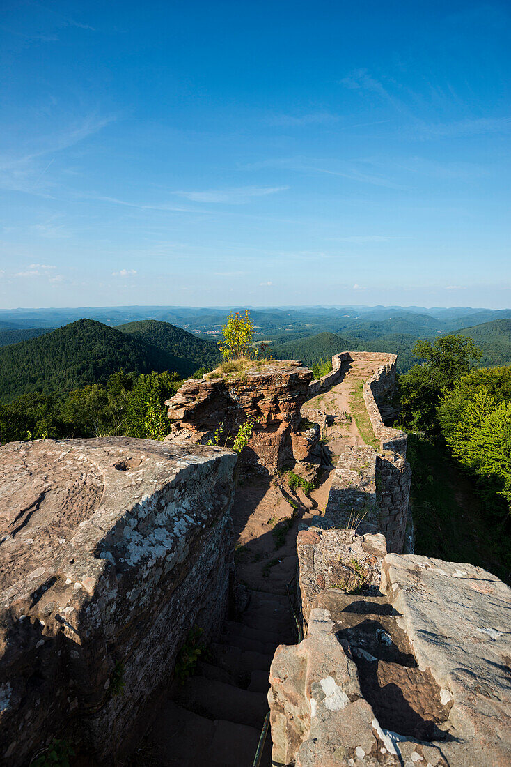 Ausblick auf den Pfälzerwald von der Ruine Wegelnburg, bei Nothweiler, Rheinland-Pfalz, Deutschland