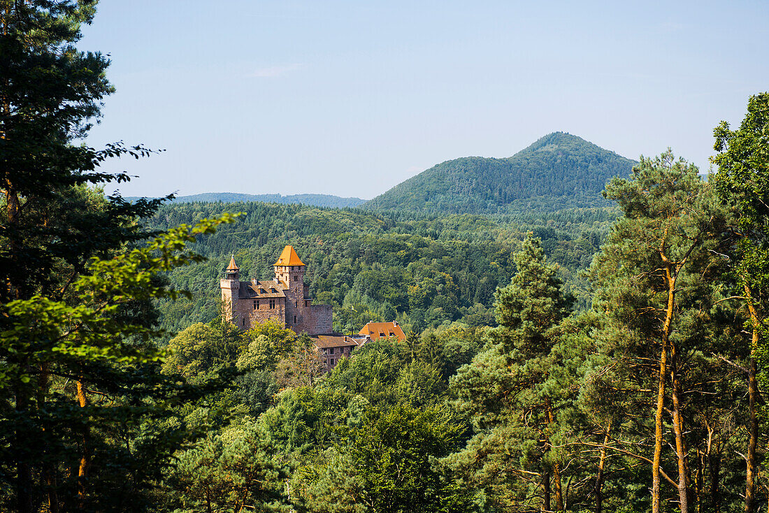 Burg Berwartstein, Erlenbach, Naturpark Pfälzerwald, Pfalz, Rheinland-Pfalz, Deutschland