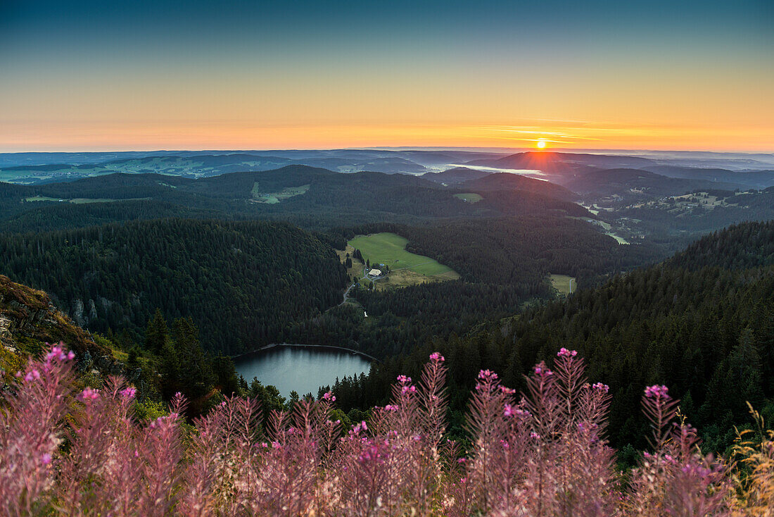 View east towards Feldsee, sunrise, Feldberg, Black Forest, Baden-Wuerttemberg, Germany