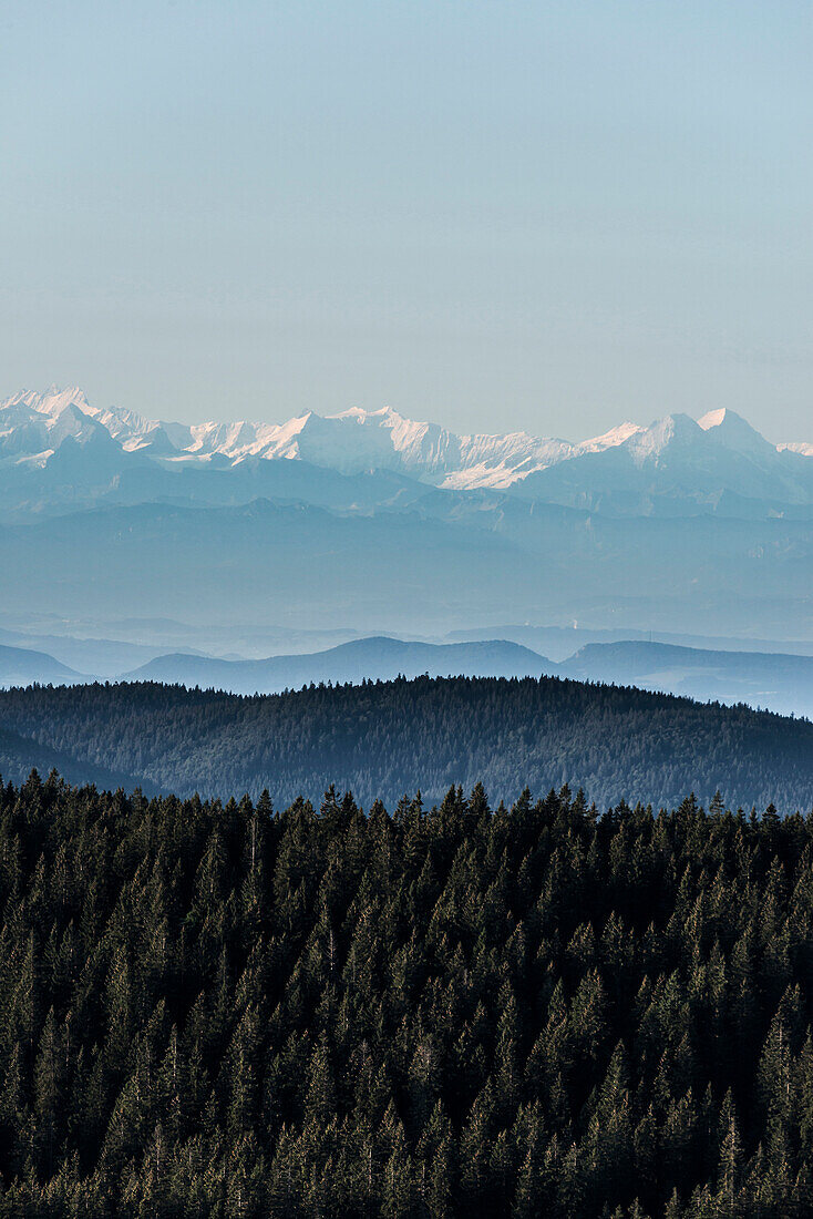 view south towards Swiss Alps, Feldberg, Black Forest, Baden-Wuerttemberg, Germany