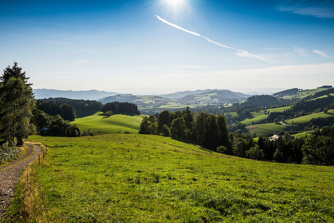 Landschaft bei St Märgen, Südschwarzwald, Schwarzwald, Baden-Württemberg, Deutschland