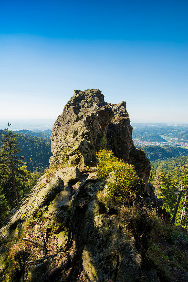 Kandel, bei Freiburg im Breisgau, Schwarzwald, Baden-Württemberg, Deutschland