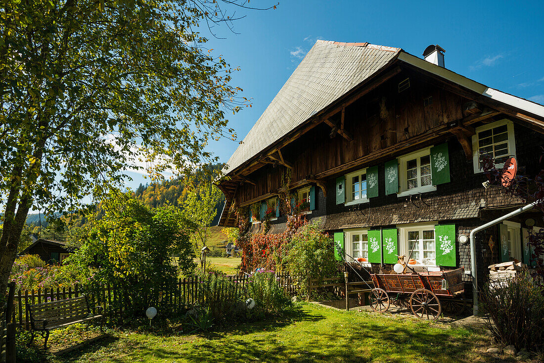 old farmhouse, Menzenschwand, Black Forest, Baden-Wuerttemberg, Germany