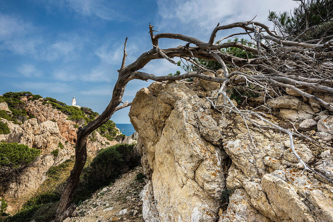 Leuchtturm, Punta de Capdepera, Cala Rajada, Mallorca, Balearen, Spanien