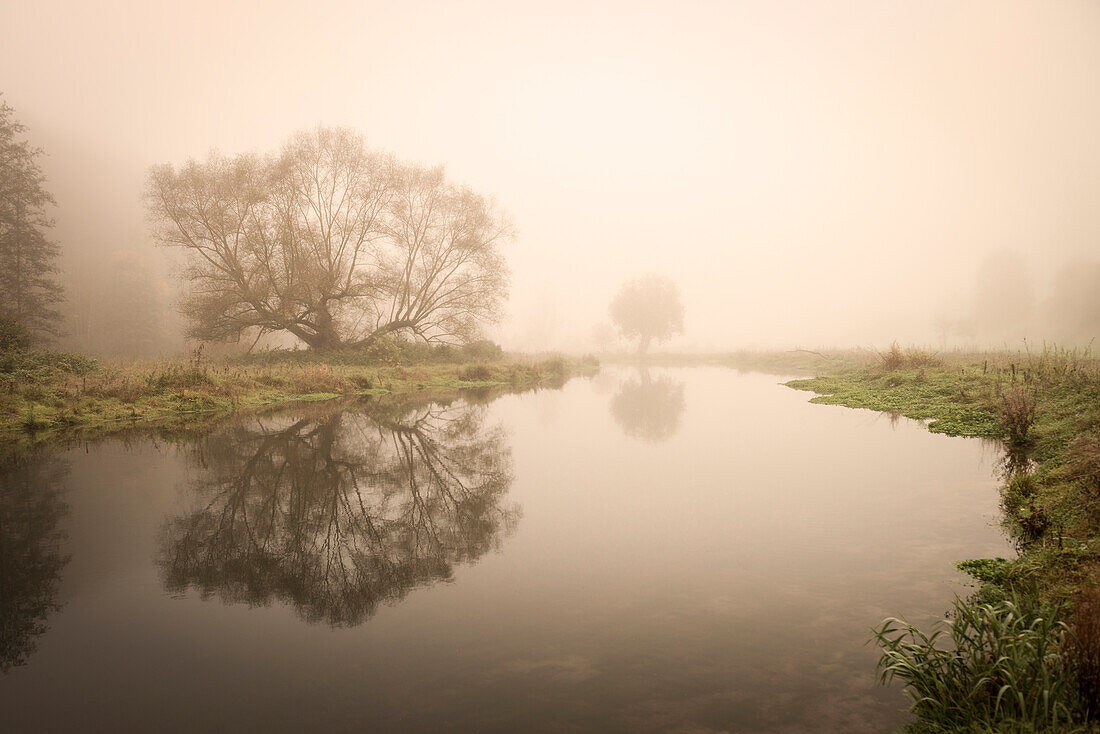 mist / fog at Eselsburg valley, river Brenz valley around Herbrechtingen, Heidenheim district, Swabian Alb, Baden-Wuerttemberg, Germany