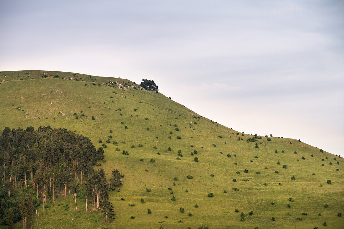 the Ipf Mountain is a escarpment outlier and former settlement of celtic people, Bopfingen in between Aalen and Noerdlingen, Ostalb district, Swabian Alb, Baden-Wuerttemberg, Germany