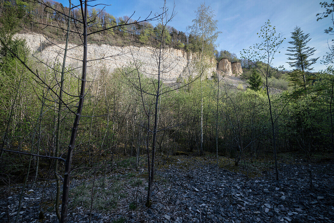 so called Moessingen landslide, Mössingen, Tuebingen district, Swabian Alb, Baden-Wuerttemberg, Germany