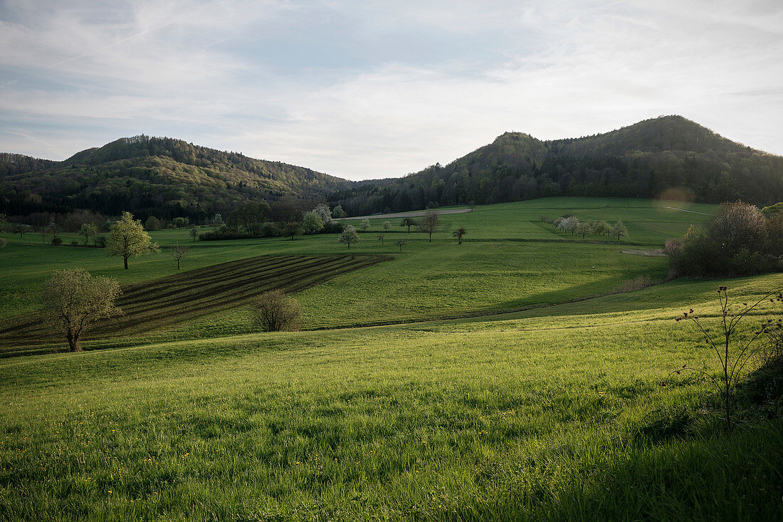 surrounding landscape at the so called Moessingen landslide, Mössingen, Tuebingen district, Swabian Alb, Baden-Wuerttemberg, Germany