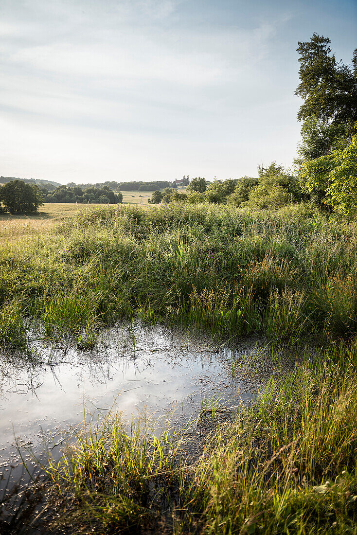 view across water pound towards deserted village Gruorn, former military area, Muensingen, Reutlingen district, Swabian Alb, Baden-Wuerttemberg, Germany