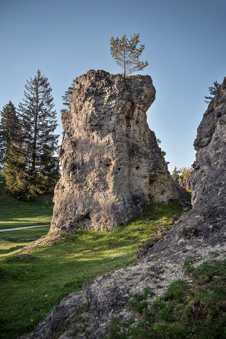bizaare Felsformationen im Wental, das Wental ist ein typisches Trockental nordwestlich von Steinheim am Albuch auf der Karsthochfläche der Schwäbischen Alb, Landkreis Heidenheim, Baden-Württemberg, Deutschland