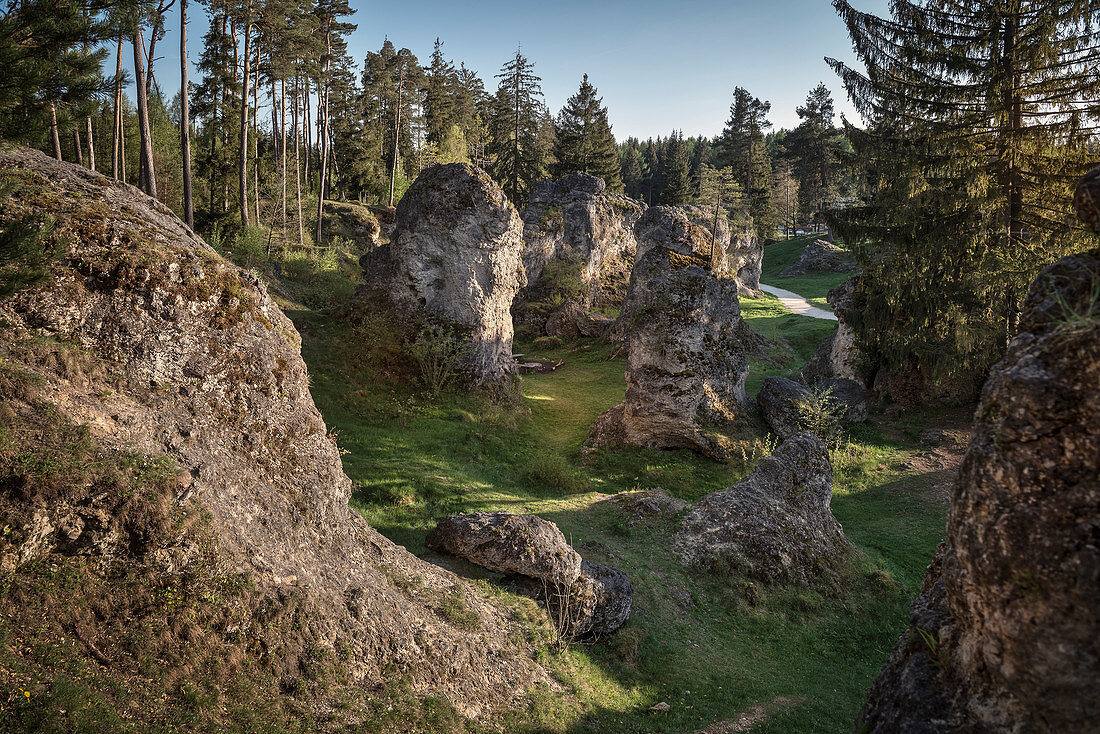 bizaare Felsformationen im Wental, das Wental ist ein typisches Trockental nordwestlich von Steinheim am Albuch auf der Karsthochfläche der Schwäbischen Alb, Landkreis Heidenheim, Baden-Württemberg, Deutschland