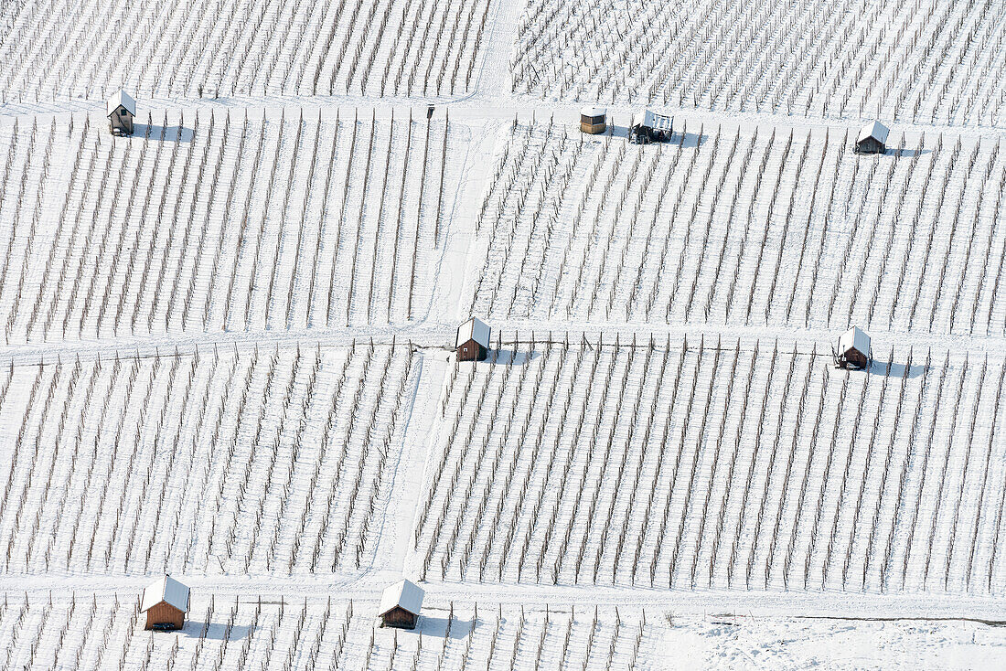 wineyard in winter, graphical, view from Hohenneuffen fortress, Neuffen, Esslingen district, Swabian Alb, Baden-Wuerttemberg, Germany