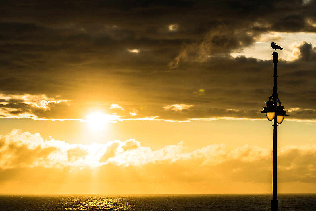 Eine Möwe sitzt auf einer Straßenleuchte an der Promenade in Scheveningen und schaut sich den Sonnenuntergang über der Nordsee an, Scheveningen, Den Haag, Provinz Südholland, Niederlande