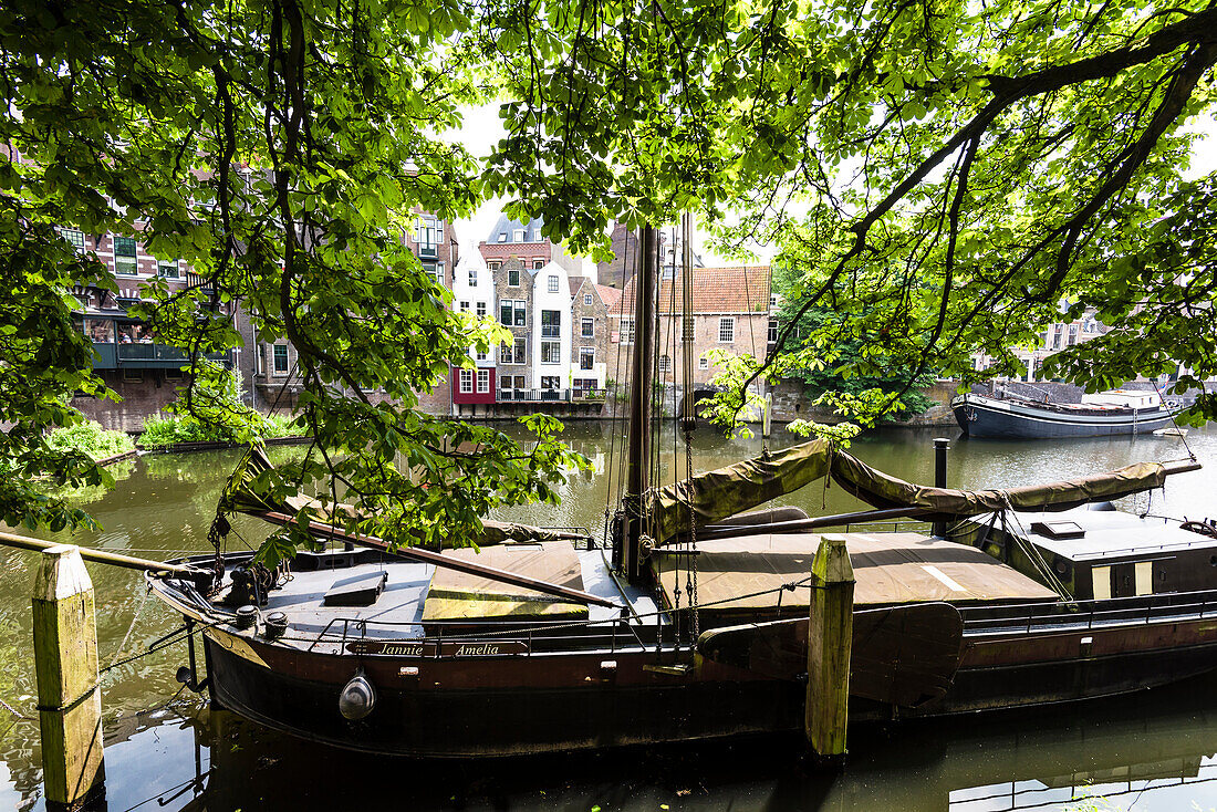 Old sailing ships on the Aelbrechtskolk canal in front of historical houses in Delfshaven, Rotterdam, Netherlands