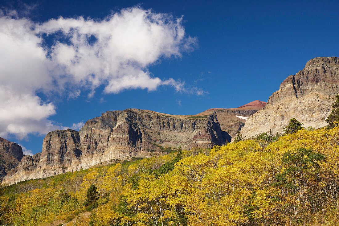 Autumnal tints , Many Glacier , Glacier National Park , Montana , U.S.A. , America